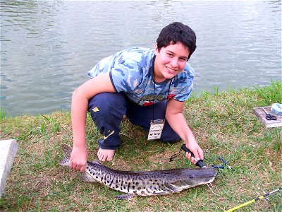 Pincachara fisgada com salsicha e solta após as fotos photo