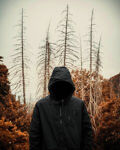 Old mood mystic