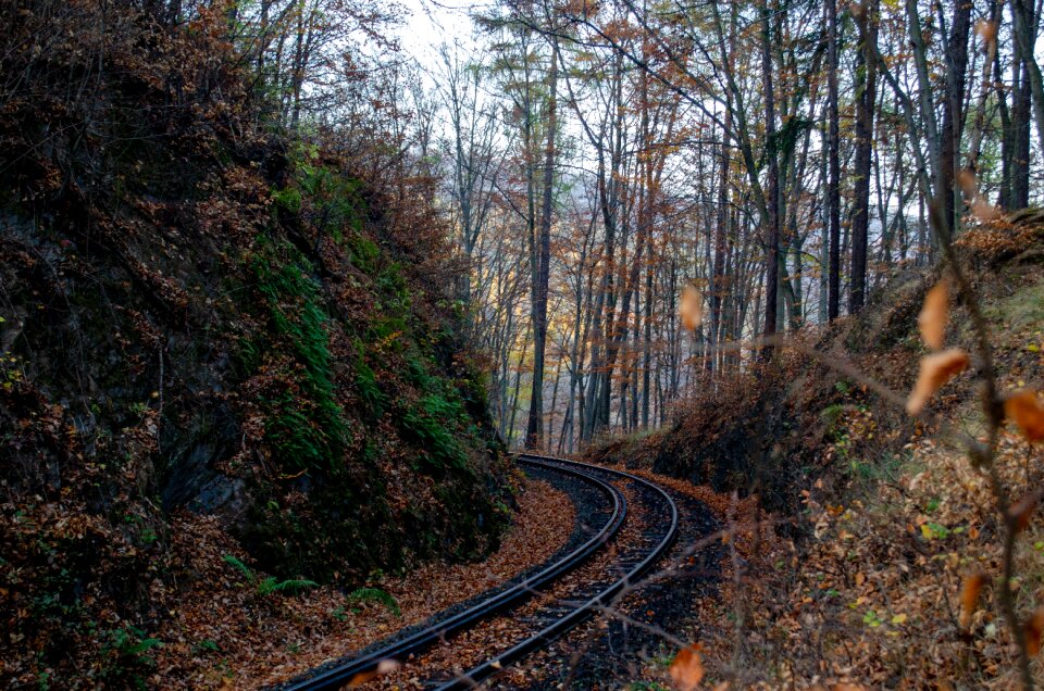 Narrow gauge railway historically tourism