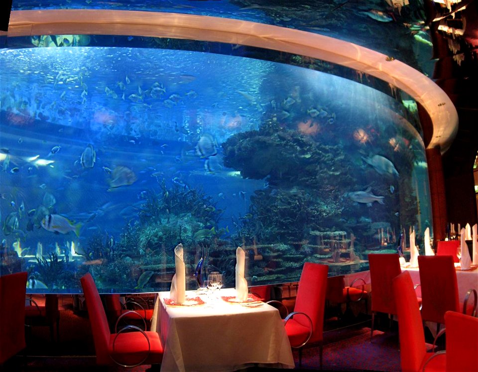 al Mahara restaurant in the Burj al Arab. Fishes include Humphead Wrasse (Cheilinus undulatus), Blacktip Reef Shark (Carcharhinus melanopterus), Fusiliers (Pterocaesio digramma), Red Sea Fairy Baslet 