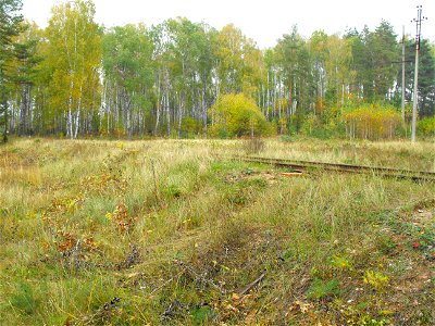Бронная Гора. По обе стороны от железнодорожного полотна располагались расстрельные рвы и места захоронения более 50 000 евреев во времена Холокоста.