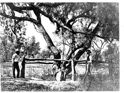 Burke's Grave - Northern Territory (Robert O'Hara Burke)
