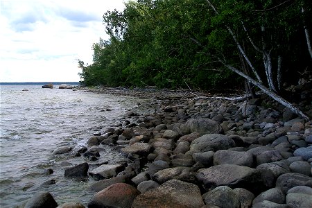 Coast of Hara Island, Lahemaa National Park, Estonia.