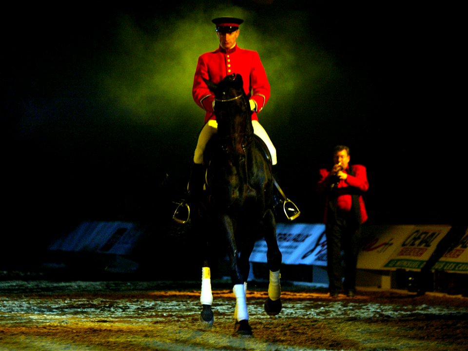 A Haras nationaux rider in a spectacle called "Cheval Passion"