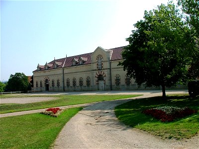 Haras cluny