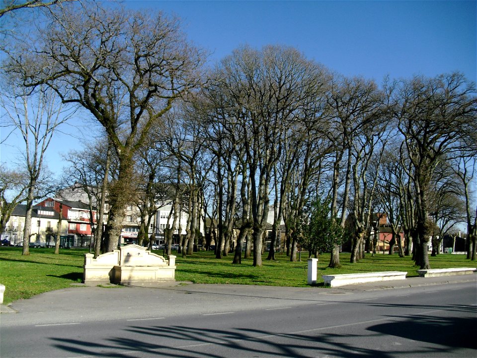 Oakwood in Ribeiras de Lea, Castro de Rei photo