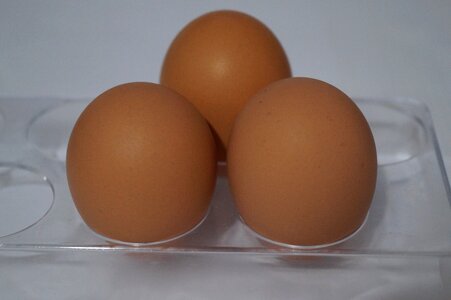 Breakfast cholesterol gray egg photo