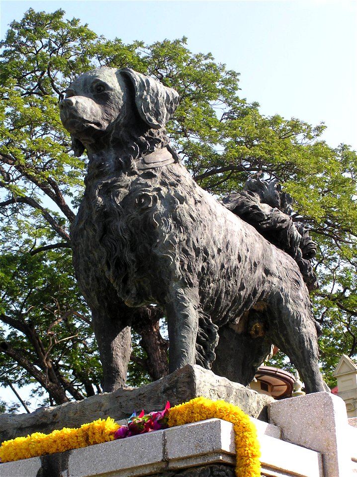Yalee the dog Rama VI loved, statue in Sanam Chan Palace, Nakhon Pathom province รูปย่าเหล ใน พระราชวังสนามจันทร์