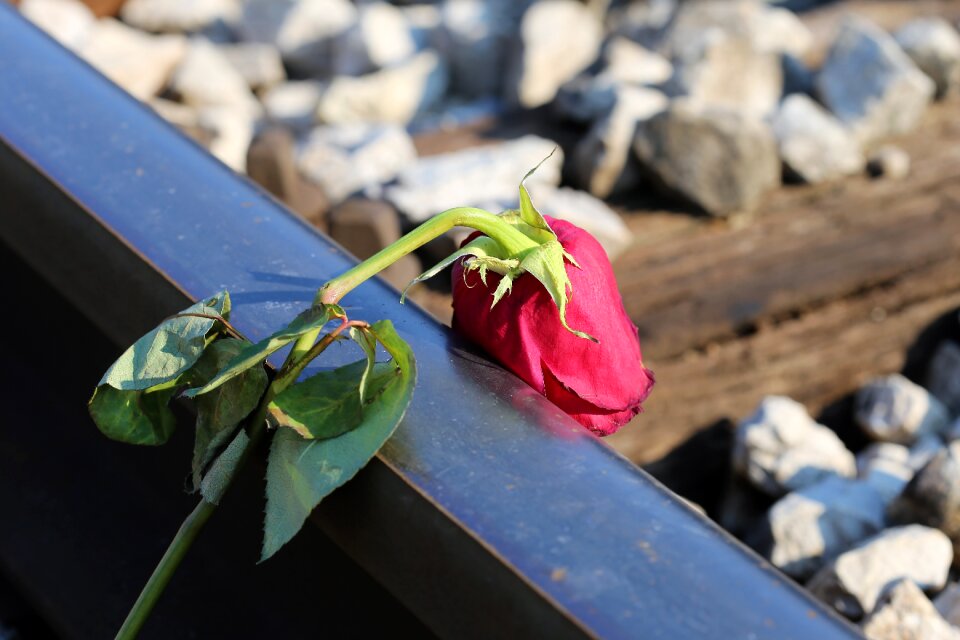 Lost love loving memory tragedy