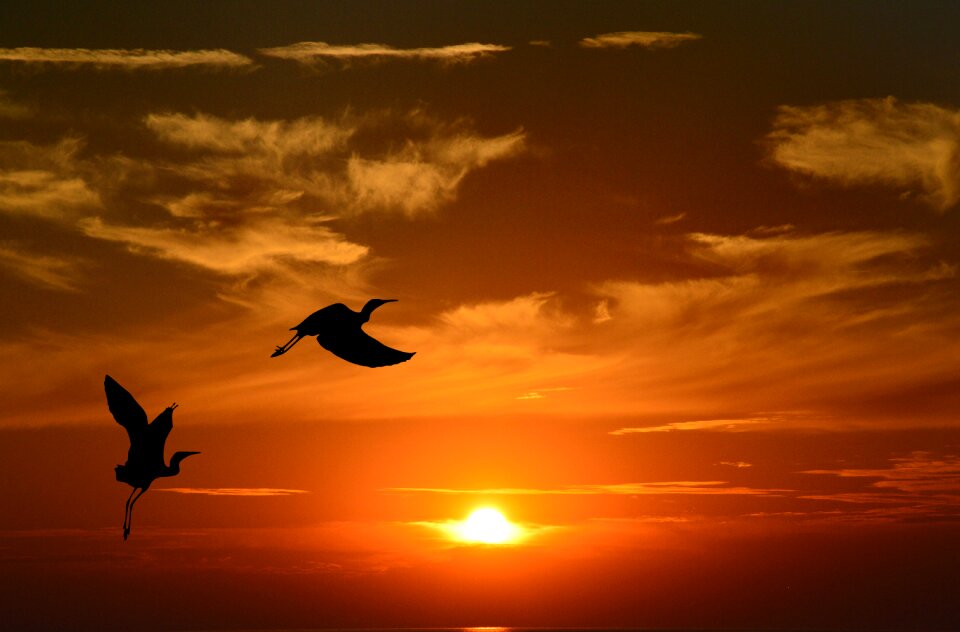 Sun sky silhouette