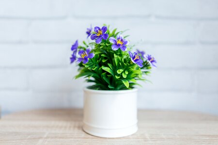 Vase leaf pot photo