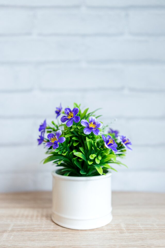 Vase leaf pot photo