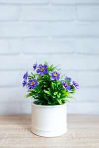 Vase leaf pot
