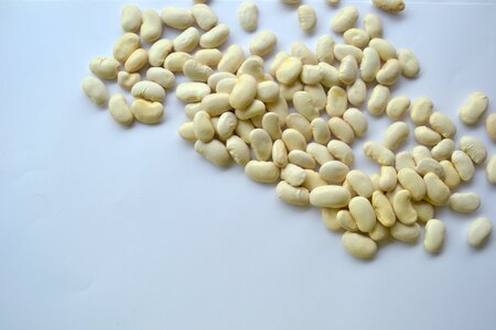 Beans dry kitchen