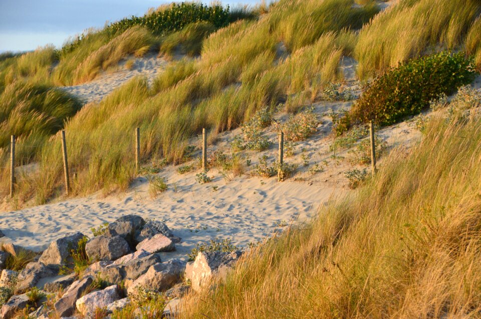 Hauts de france resort sand