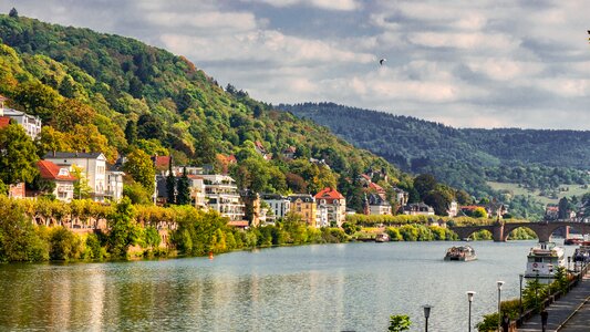 River bank heidelberg