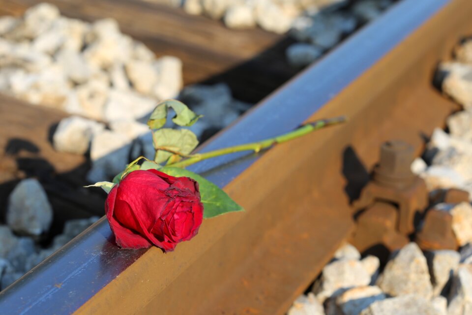 Lost love touching loving memory