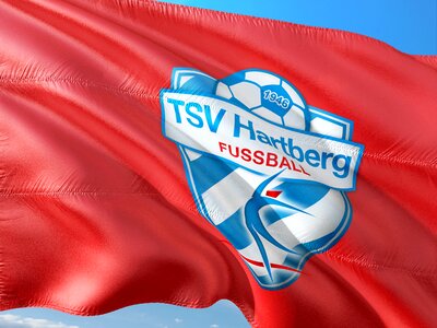 Tipico bundesliga flag tsv hartberg photo