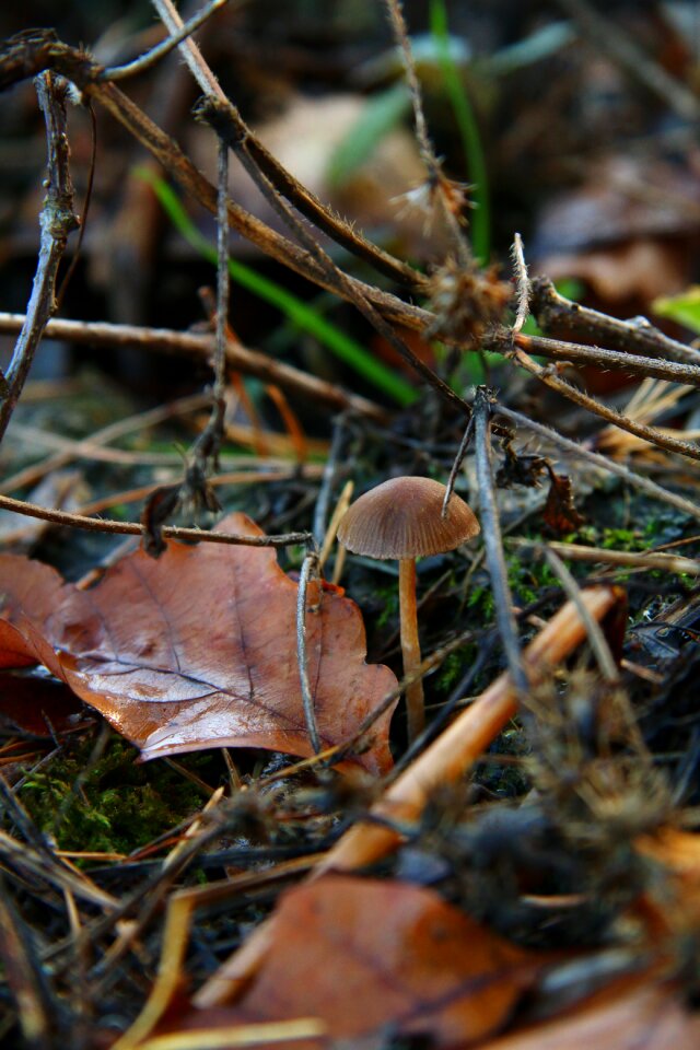Discovered moist autumn