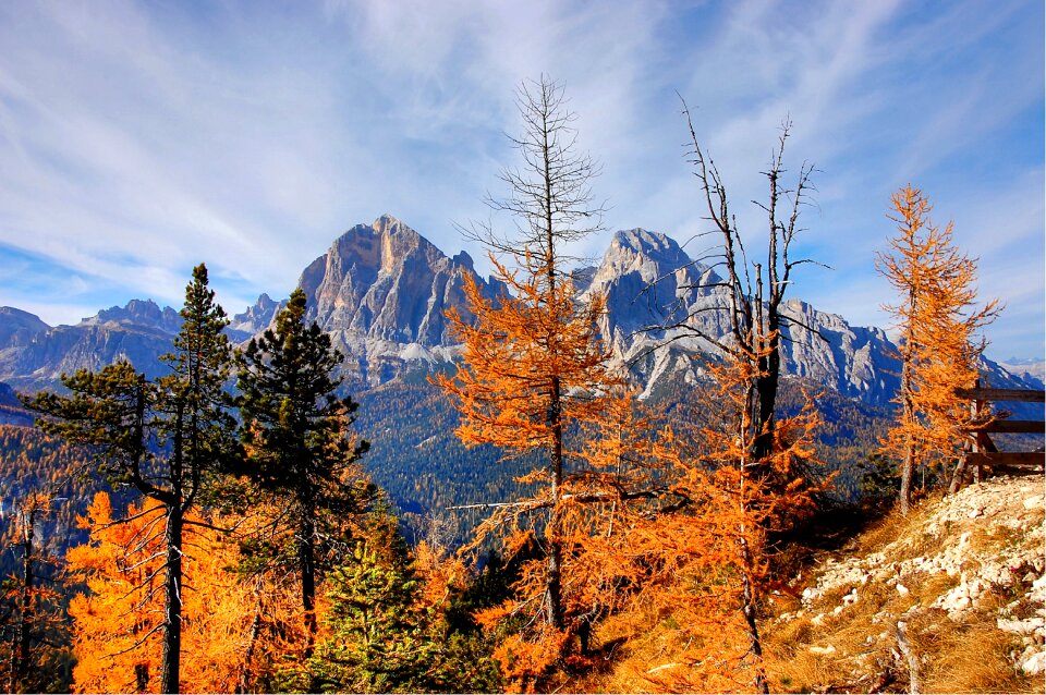 Alpine nature view