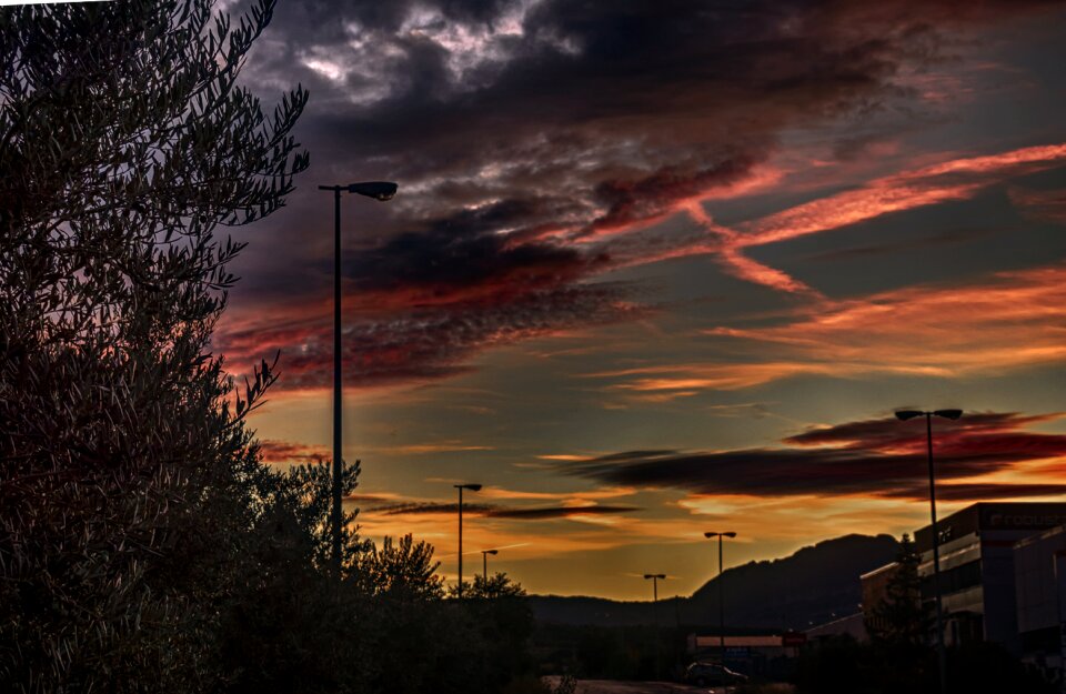 Nature twilight path