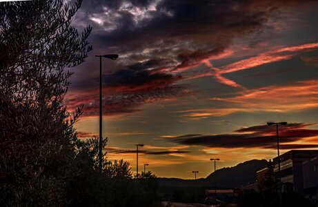 Nature twilight path