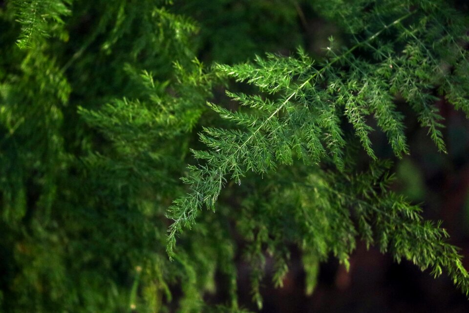 Environment tree freshness