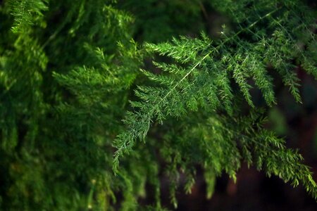 Environment tree freshness