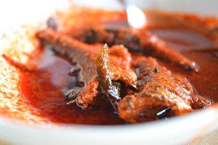 Indian food non vegetarian sea-fish