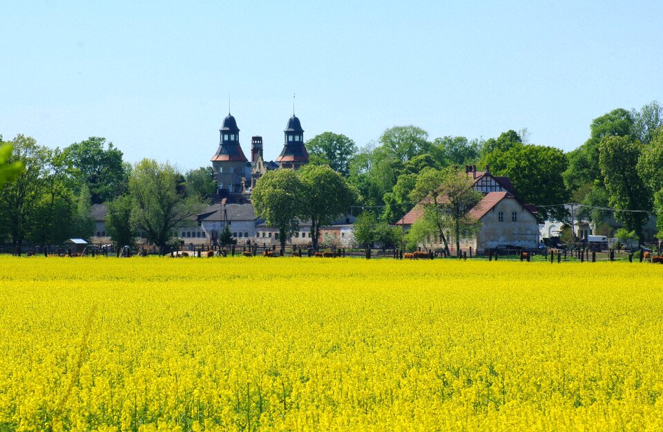 Nature spring village