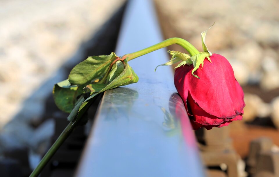 Touching loving memory tragedy