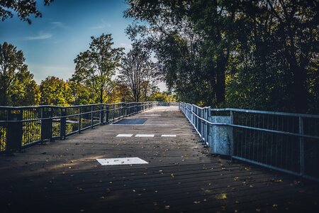 Catwalk wooden landscape photo