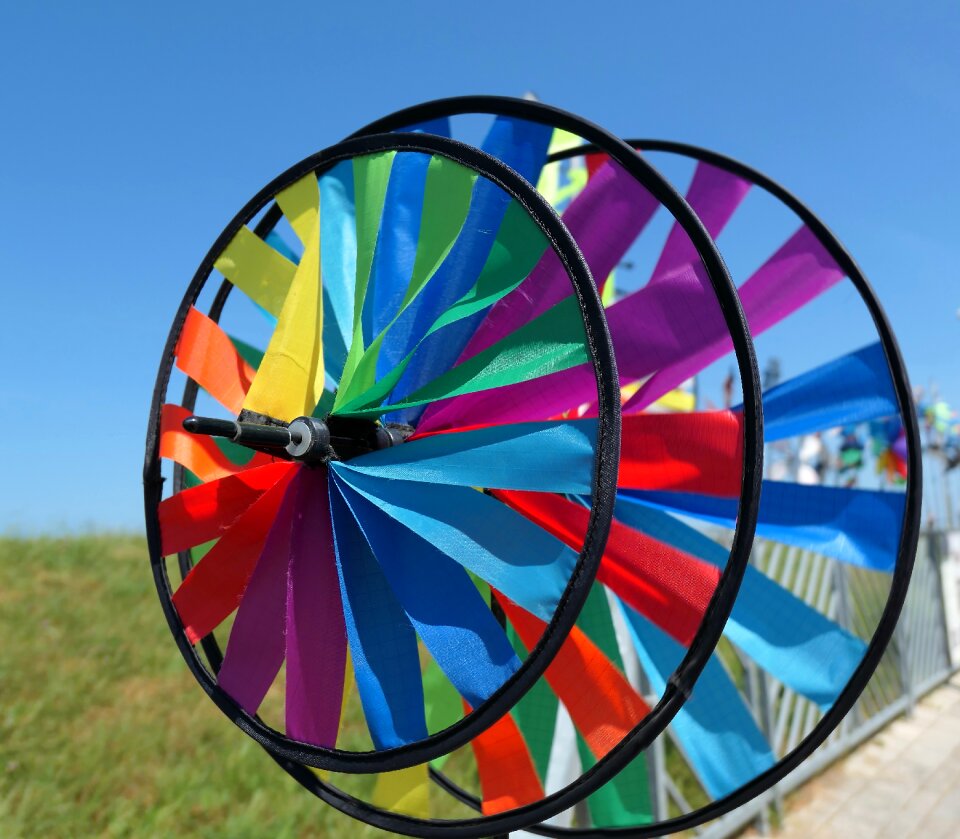 Color garden rotated