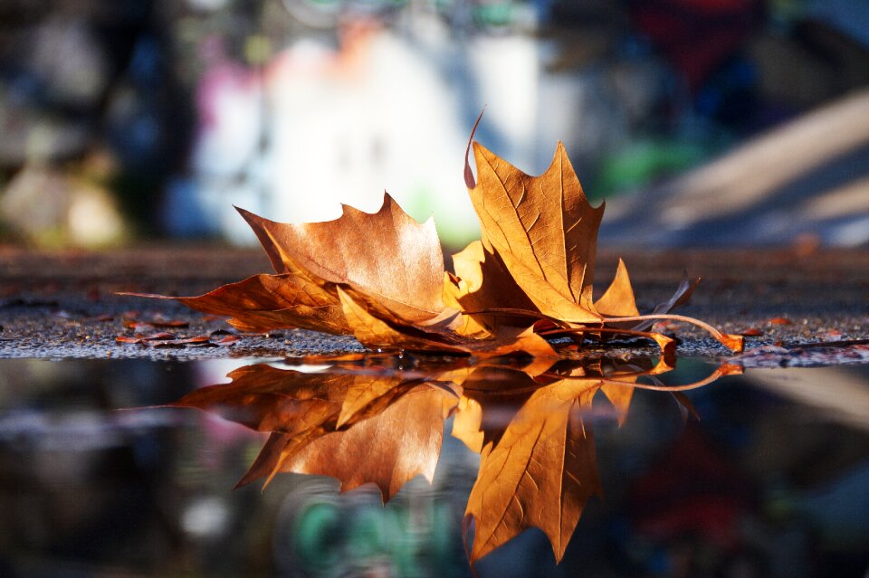 Rest mood reflection