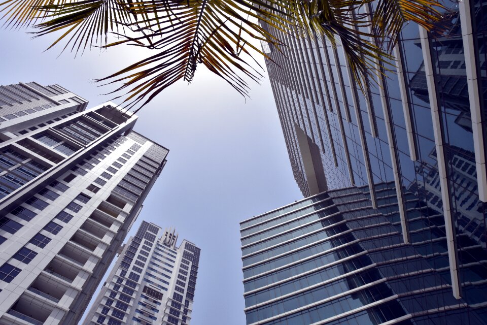 The skyscraper city modern