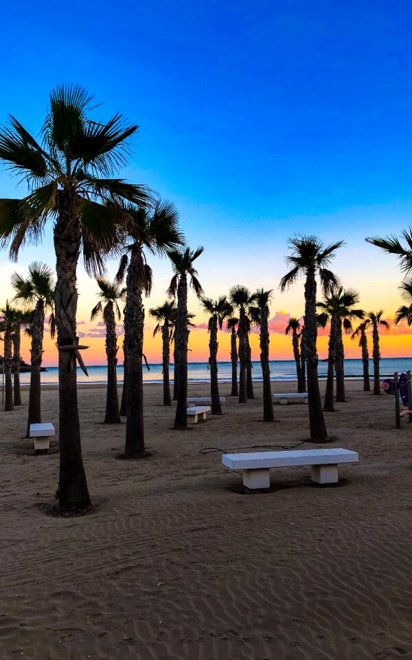 Beach summer holidays
