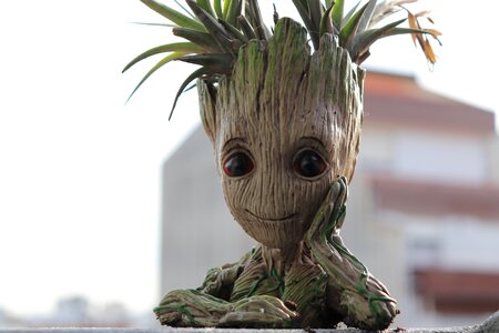 Tree fantasy joy