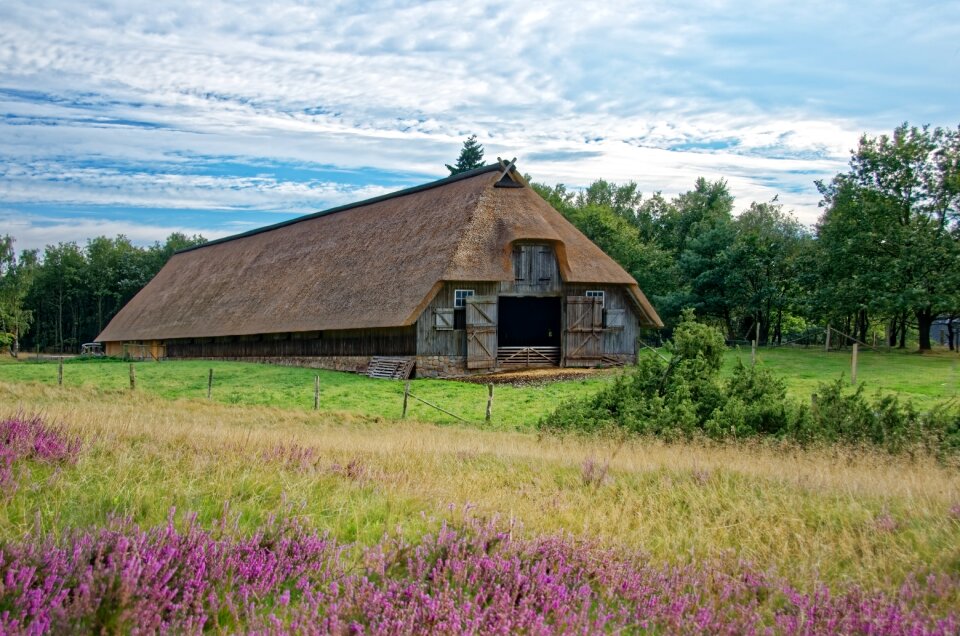 Heathland nature reserve heide