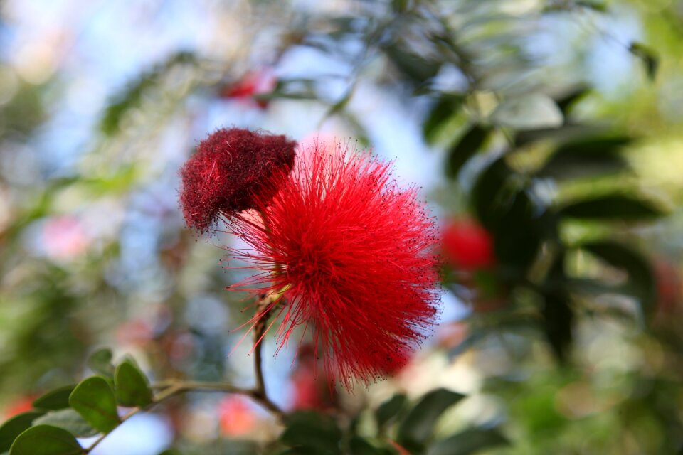 Love color romance