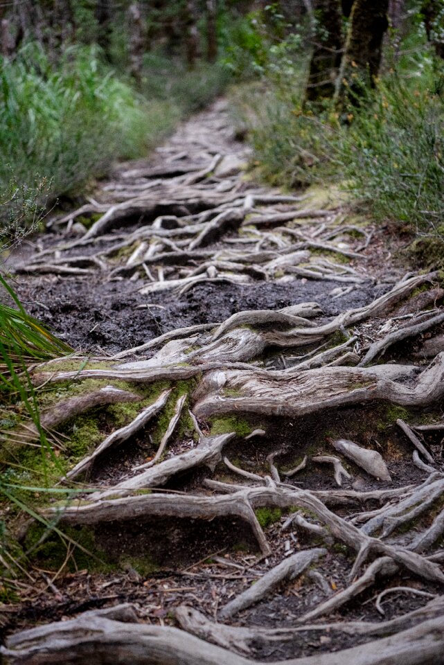 Nature wilderness outdoors