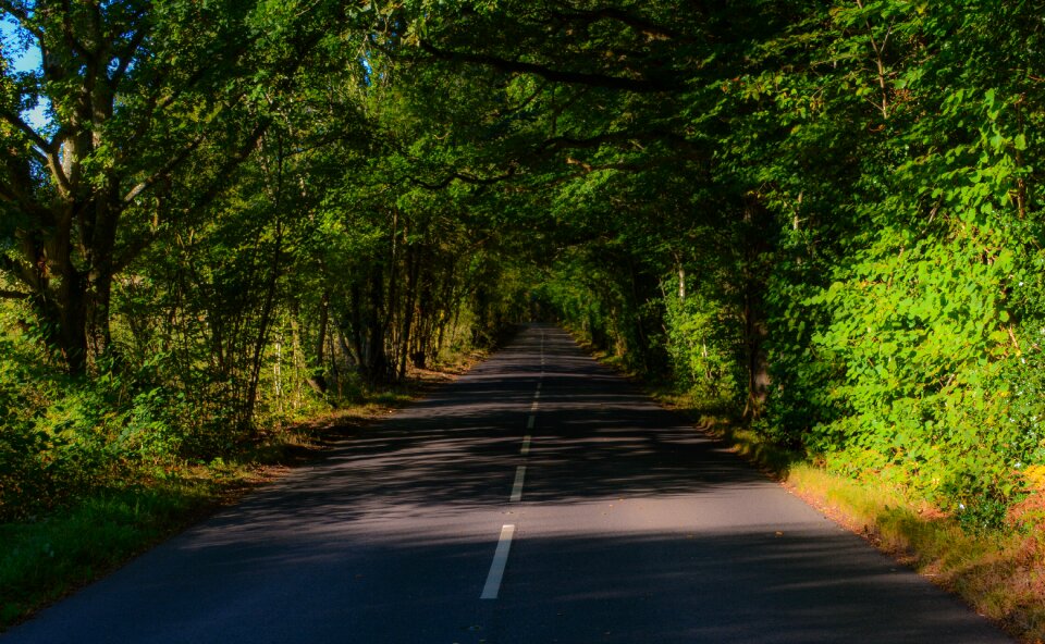 Light shaded england