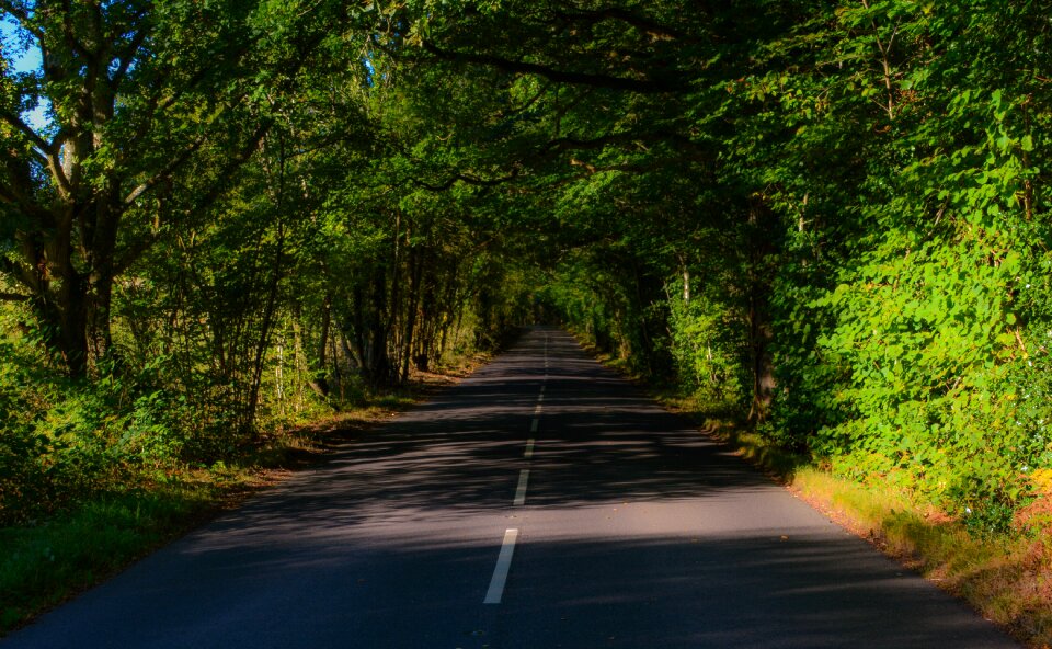 Light shaded england photo