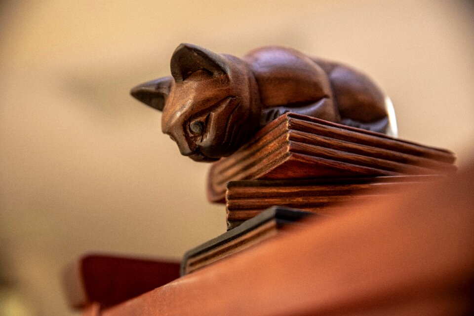 Kitty pounce brown library