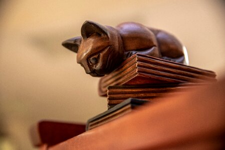 Kitty pounce brown library