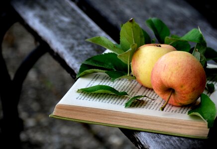 Read pitched book pages