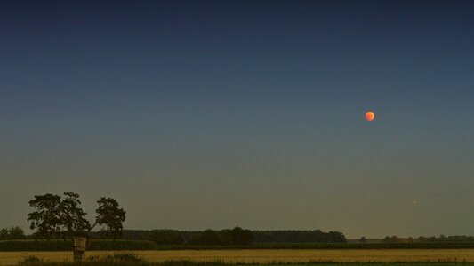 Blue hour field landscape