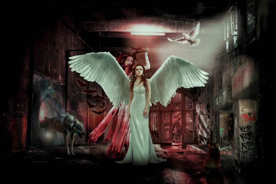 Photomontage weird surreal
