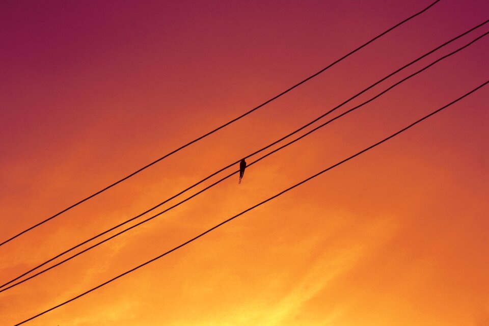 Center symmetry sky