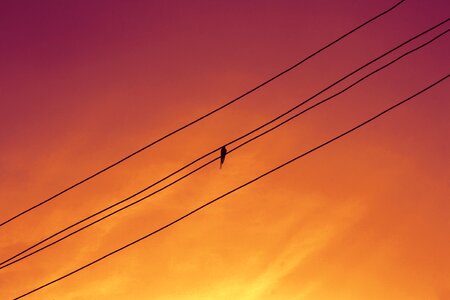Center symmetry sky
