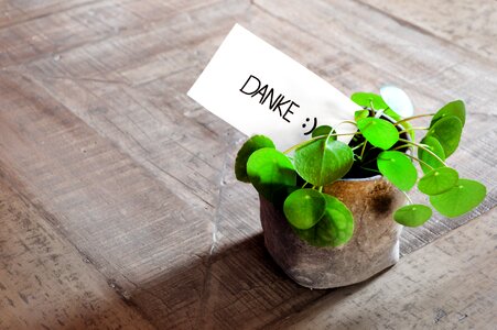 Plant pot modern